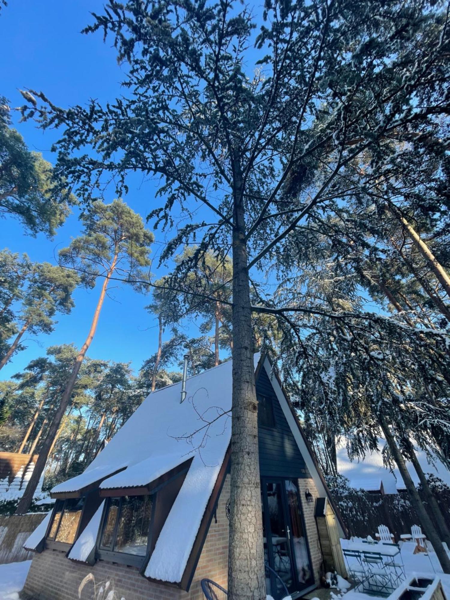 Boshuisje Pinus Sonnevijver Residences Lanaken Exterior photo